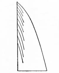 Рис. 12