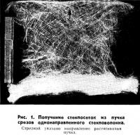 Рис. 1