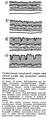 Схематичный поперечный разрез слоя чистой олифы при различных сроках высыхания