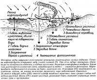Комплекс «злодеяний» лодочного подвесного мотора