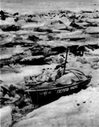 Лодка «Пелла-фиорд» во льдах