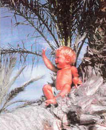 Малыш Савва позирует возле пальмы