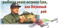 Пойманный окунь и блесна