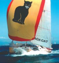 Яхта "Black Cat" под парусами