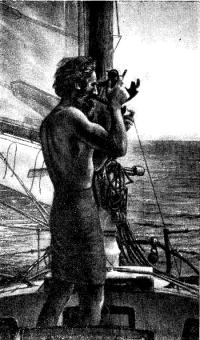 Будни в океане