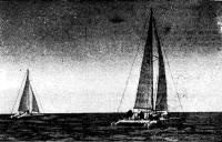 Крейсерские катамараны «Гауя» и «Каупо» в Рижском заливе