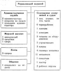 Организационная схема