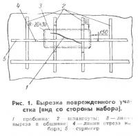 Рис. 1