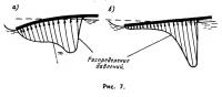 Рис. 7