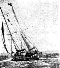«Сухали» — яхта победителя Р. Нокс-Джонстона