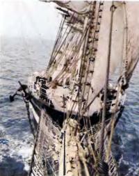 Четырехмачтовый барк «Крузенштерн» — самое крупное судно регаты