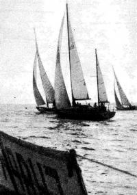 Фото яхт участников гонки