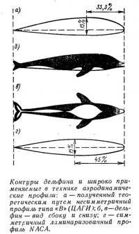 Контуры дельфина и широко применяемые в технике аэродинамические профили