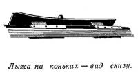 Лыжа на коньках — вид снизу