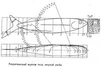 Теоретический чертеж тела летучей рыбы