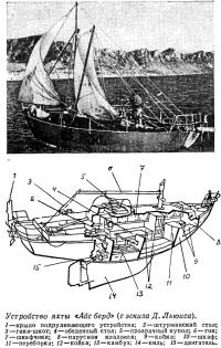 Устройство яхты «Айс берд» (с эскиза Д. Льюиса)
