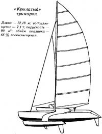 «Крылатый» тримаран