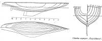 Обводы корпуса «Корейджеса»
