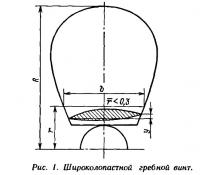 Рис. 1. Широколопастной гребной винт