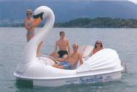 Четырехместный лебедь «Swanboat»