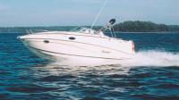 Катер Rinker 250 Fiesta Vee