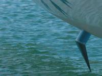 Носовое крыло в убранном положении на поплавке "Gitana X"