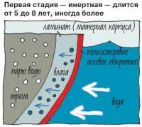 Первая стадия — инертная