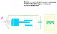 Схема системы электронного впрыска топлива (EFI)