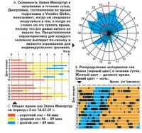 Склонность Эллен Макартур к засыпанию в течение суток