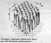 Сотовая структура древесины бальзы под большим увеличением