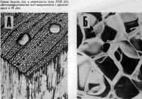 Срезы бальзы и пенопласта типа ПХВ, сфотографированные под микроскопом
