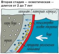 Вторая стадия — осмотическая