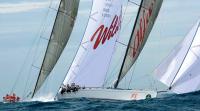 «Alfa Romeo 2», плотно преследуемая заклятым соперником, почти систершипом «Wild Oats XI»