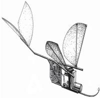 Рис. 2. Микролетательный аппарат «Microbat», фирма «AeroVironment»