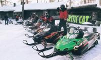 Снегоходы «Arctic Cat»